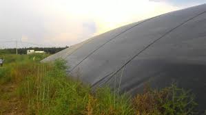 Hồ Biogas - Công Ty TNHH Sản Xuất Tư Vấn Thương Mại Dịch Vụ Nước Xanh